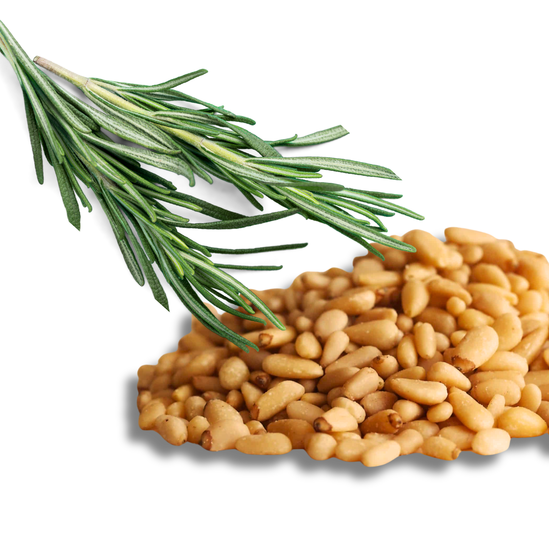 A serving of WildBoard Aperitivo savory trail mix clusters showing the pine nut and rosemary coated pieces